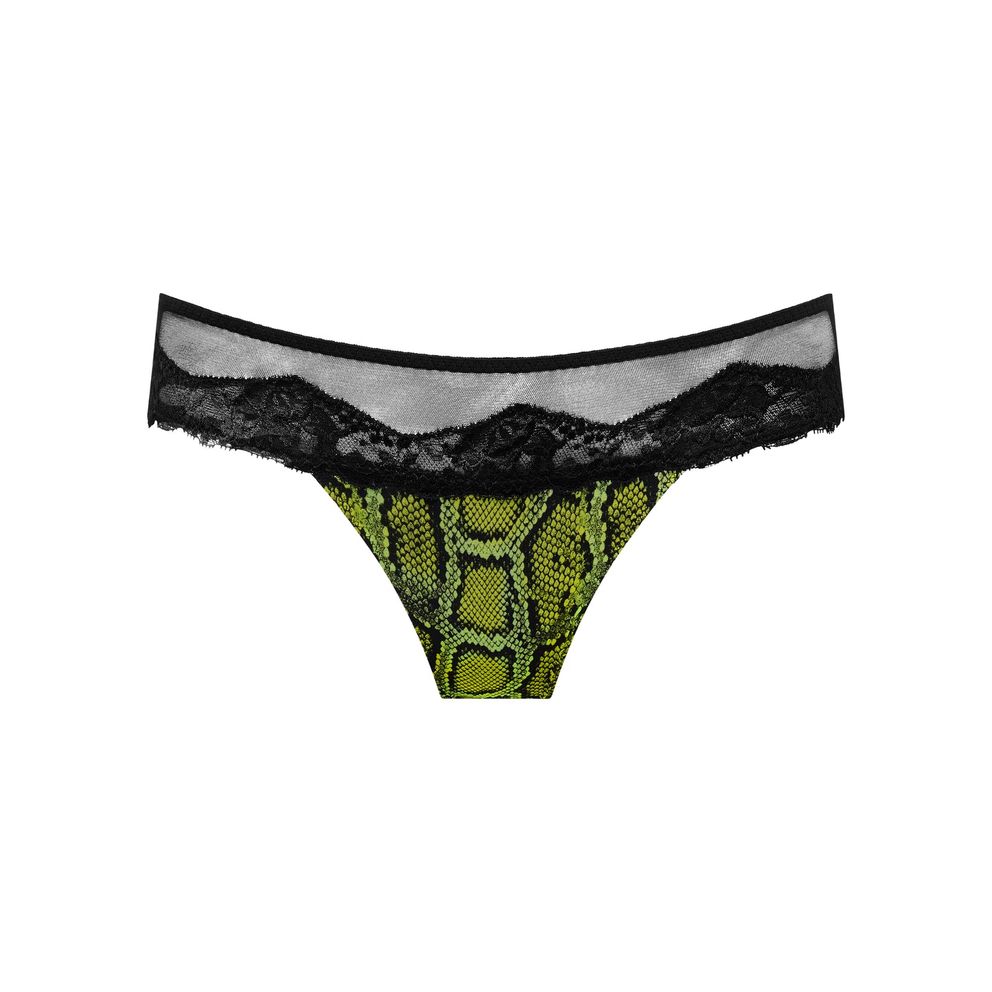 Tanga  pyton BREMER