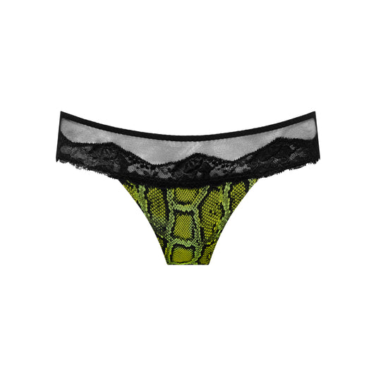 Tanga  pyton BREMER